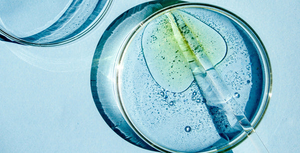 Discover The Skin-Loving Benefits of Biofermentations