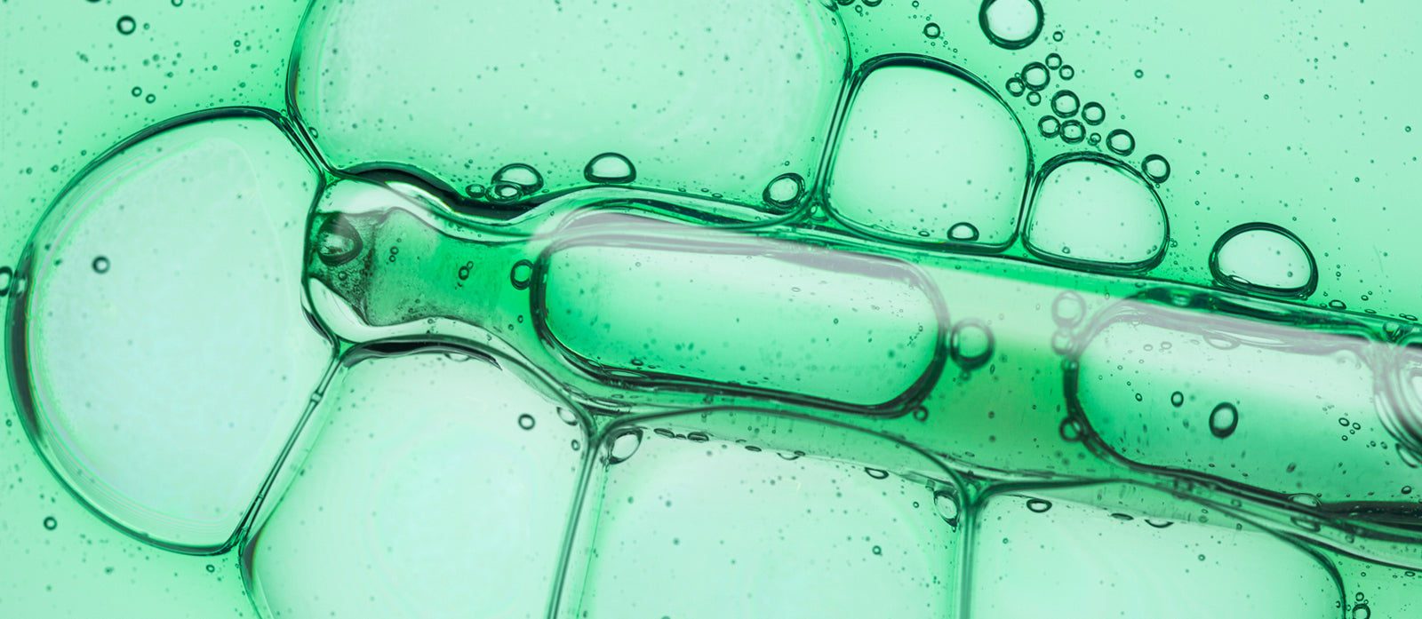 What Are Ceramides for Skin, and Why Your Skin Barrier Needs Them